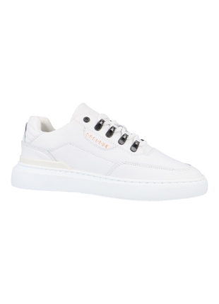 Cycleur de luxe Cdlm231012