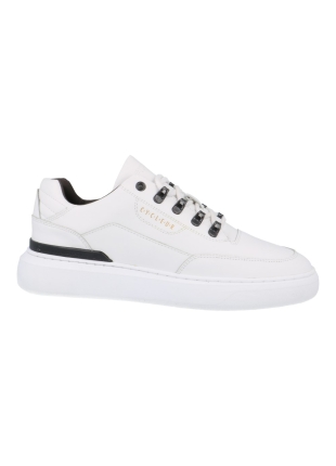 Cycleur de luxe Cdlm231010 limit