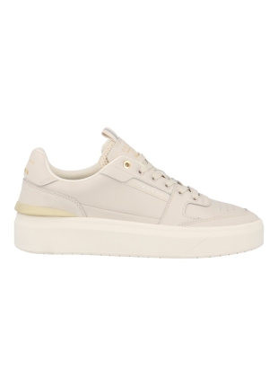 Cruyff Cc251012 endorsed tennis