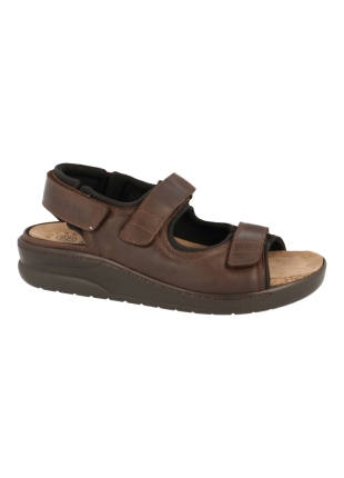 Mephisto Valden