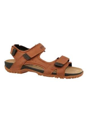 Mephisto Brice