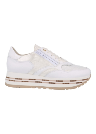 DL-Sport 6544