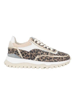 Floris van Bommel Sfw-10131-34-01 grommi