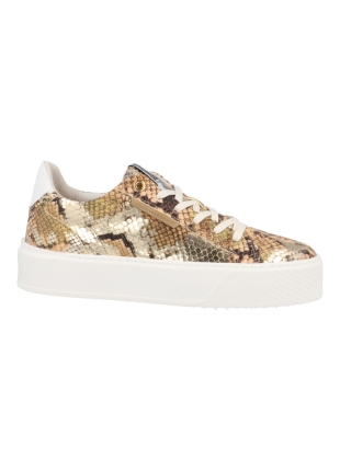 Floris van Bommel Sfw-10106-91-01