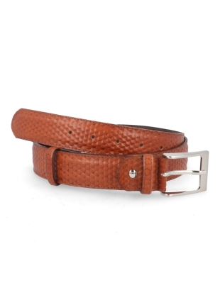 Berkelmans 252belt231