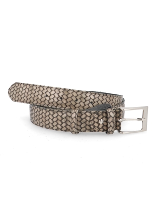 Berkelmans 252belt408